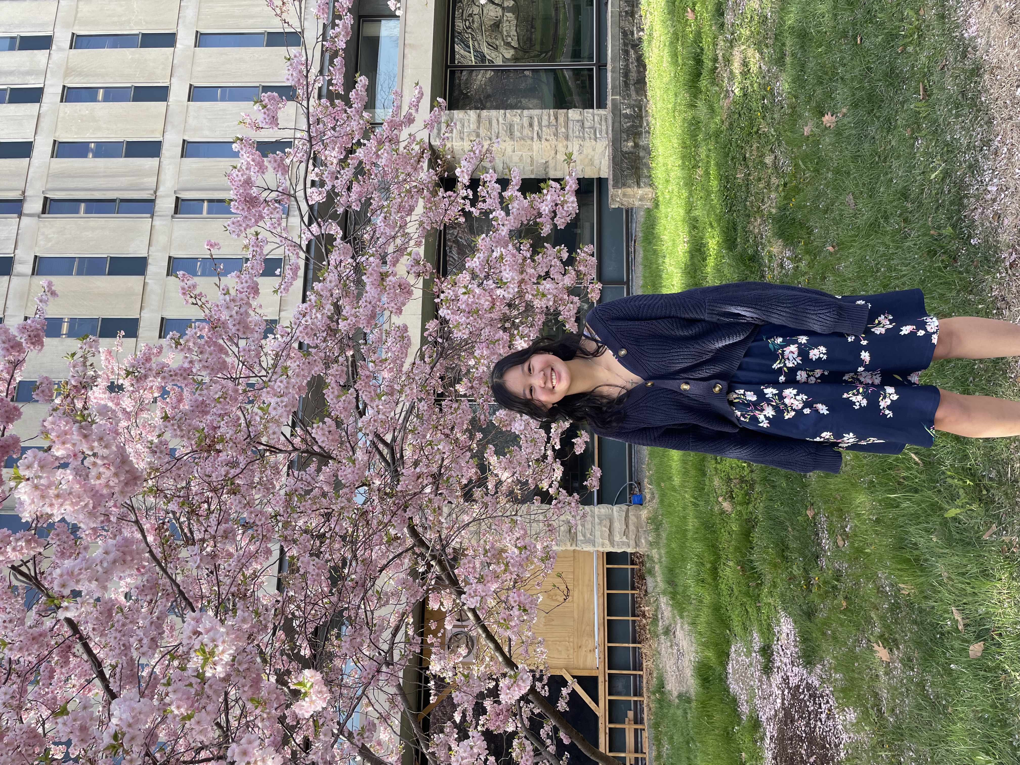 Square image with diagonal offset